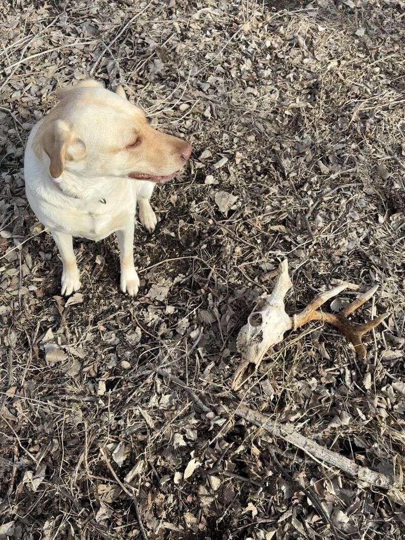 Dad look what I found!