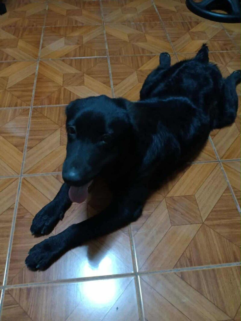 Happy Birthday in heaven buddy. I miss you so much :(