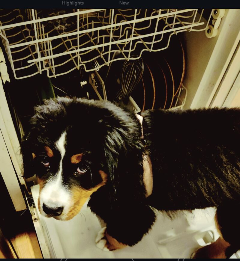 mom sez i doin a gud job at prewoosh cycol