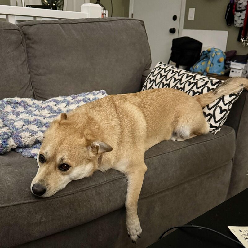 Noodles can’t even right now