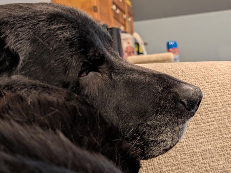 He's got a pretty big overnose and a few neck rolls