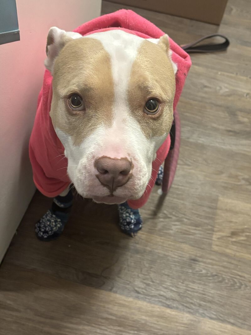 Simultaneously ready and not ready for the cold🥶