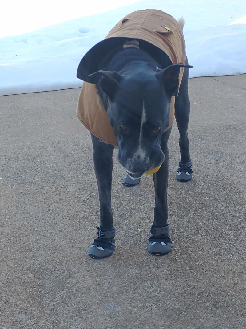 Nobody Want to Play!