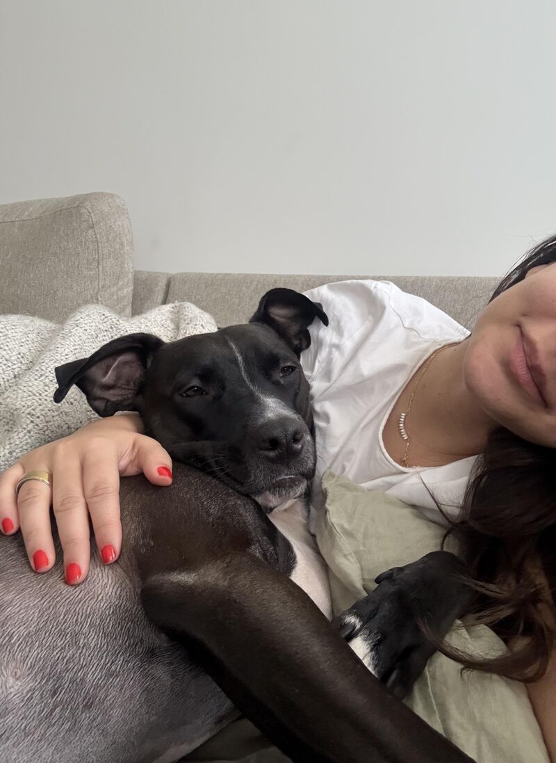 Pibble Skin Care Routine