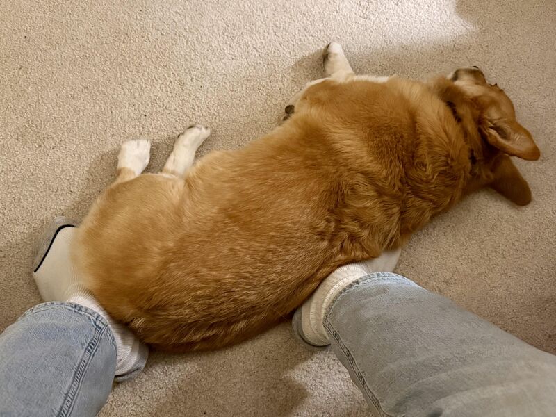 Warm butt on cold feet