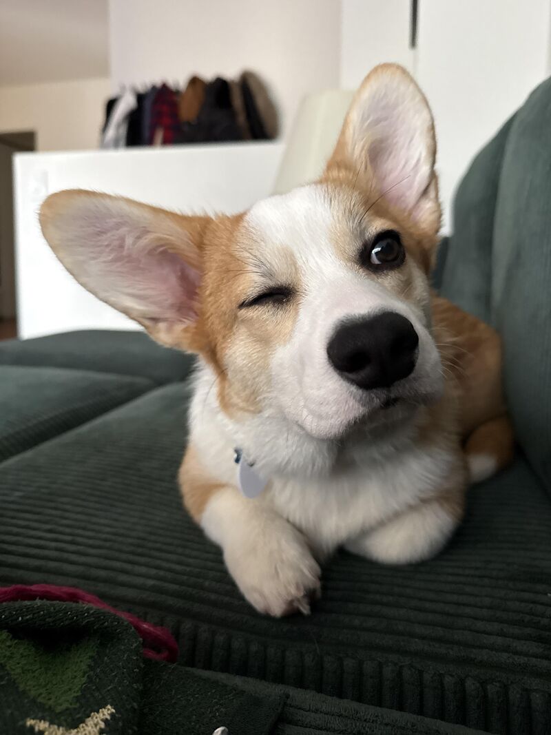 caught stu mid wink 😉