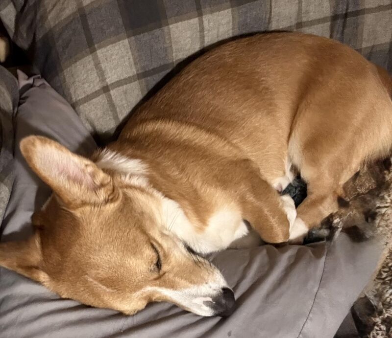 Almost two year old menace