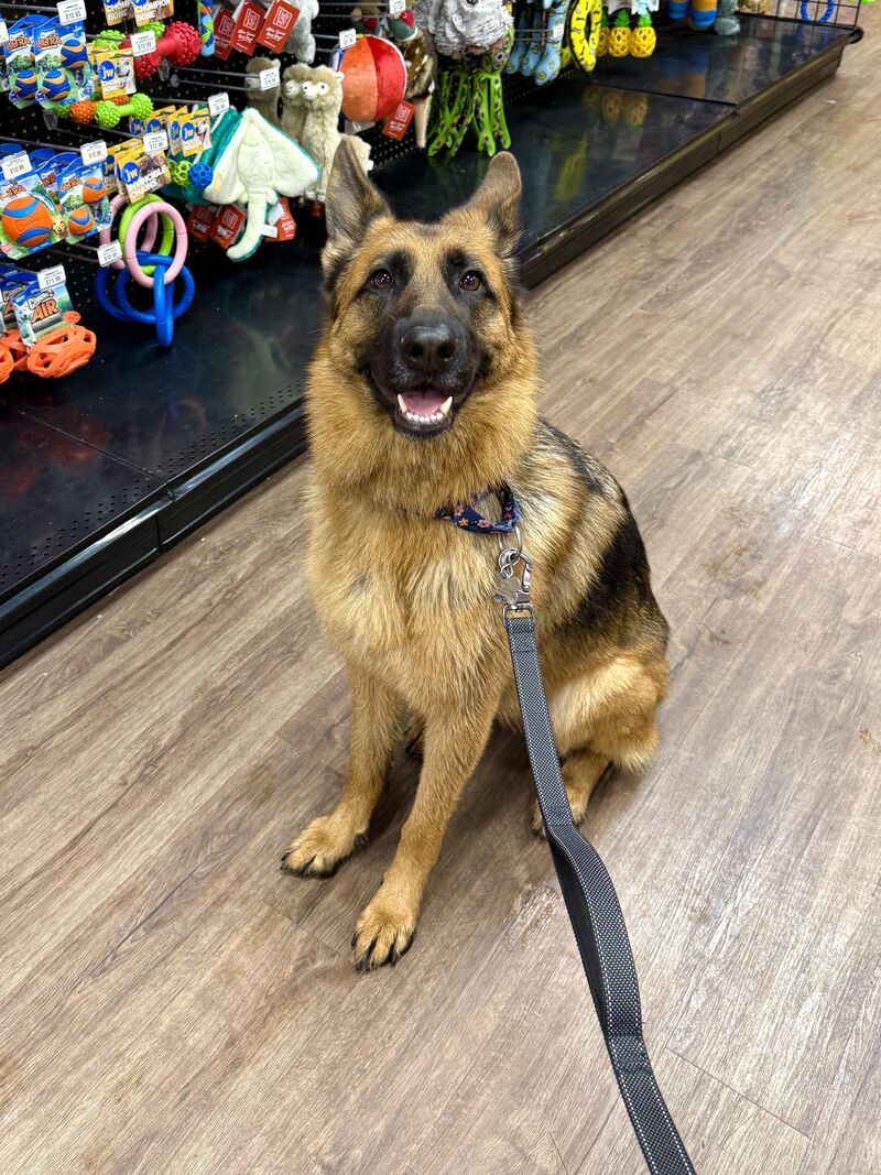 My girl is 2 today! Of course had to take her on a shopping spree