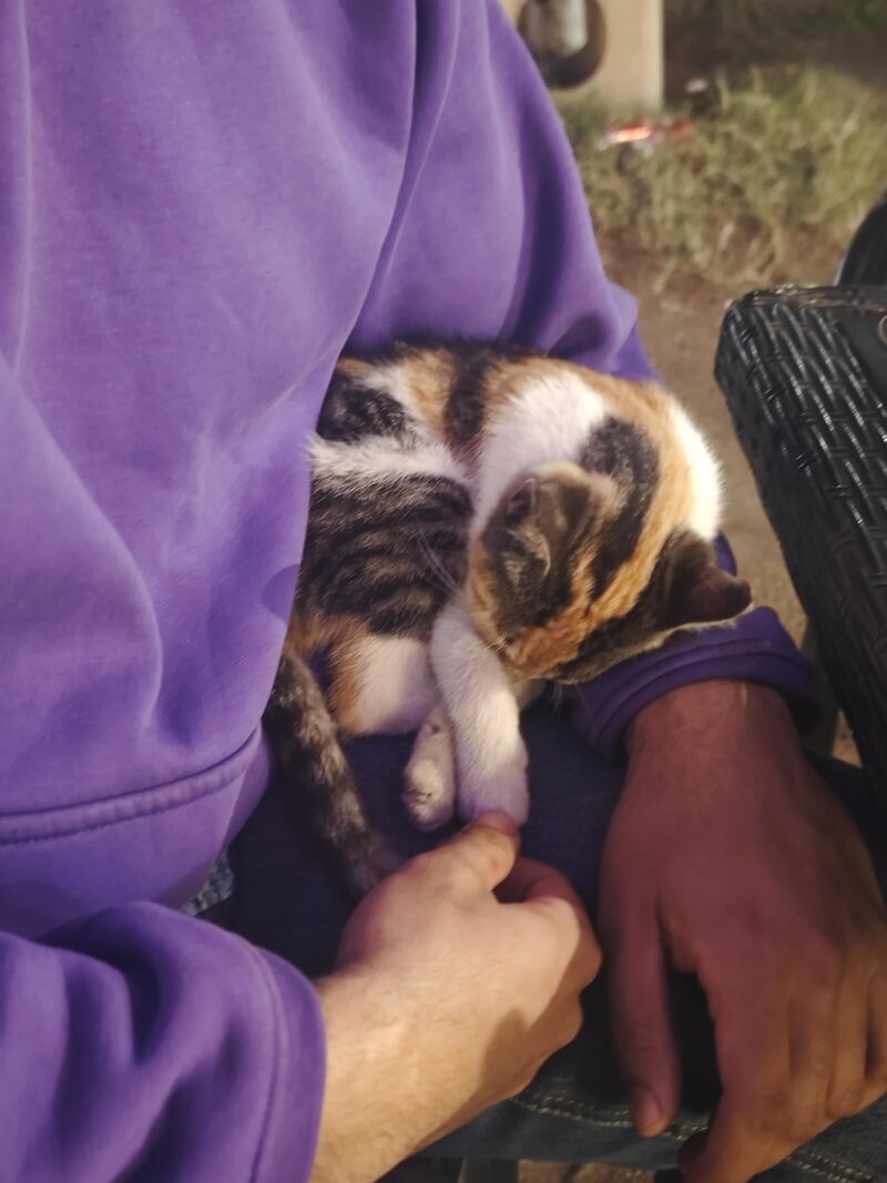 I guess I can’t move now. This little one chose me at the park today and fell asleep.