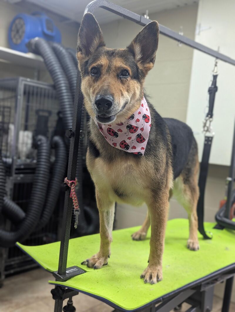 Our Sweetheart Hope at the spa