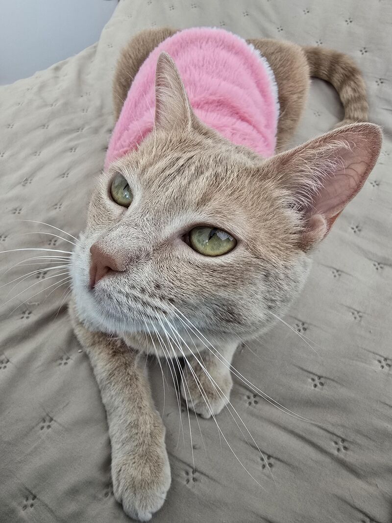 She has the softest eyes I’ve ever seen 🌷