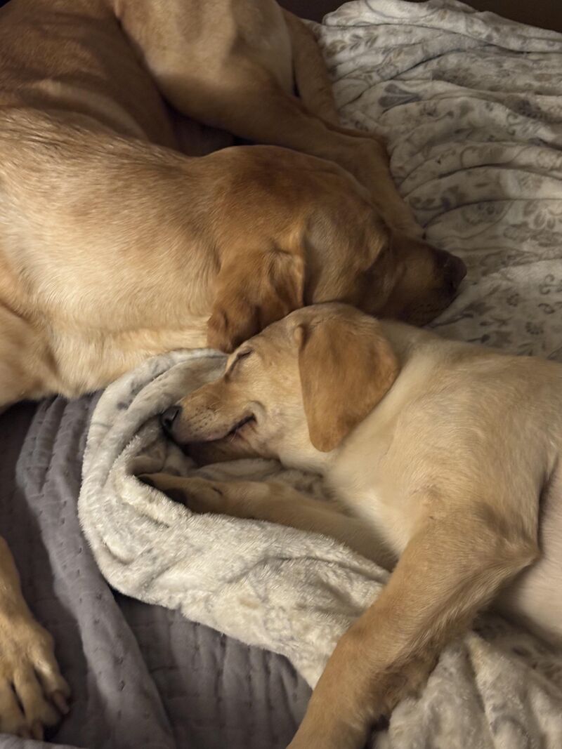 Father and son snuggle time