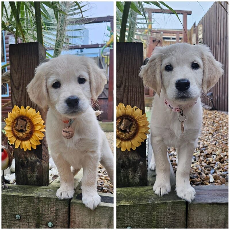 Can someone tell Winnie to stop growing so fast pls😭