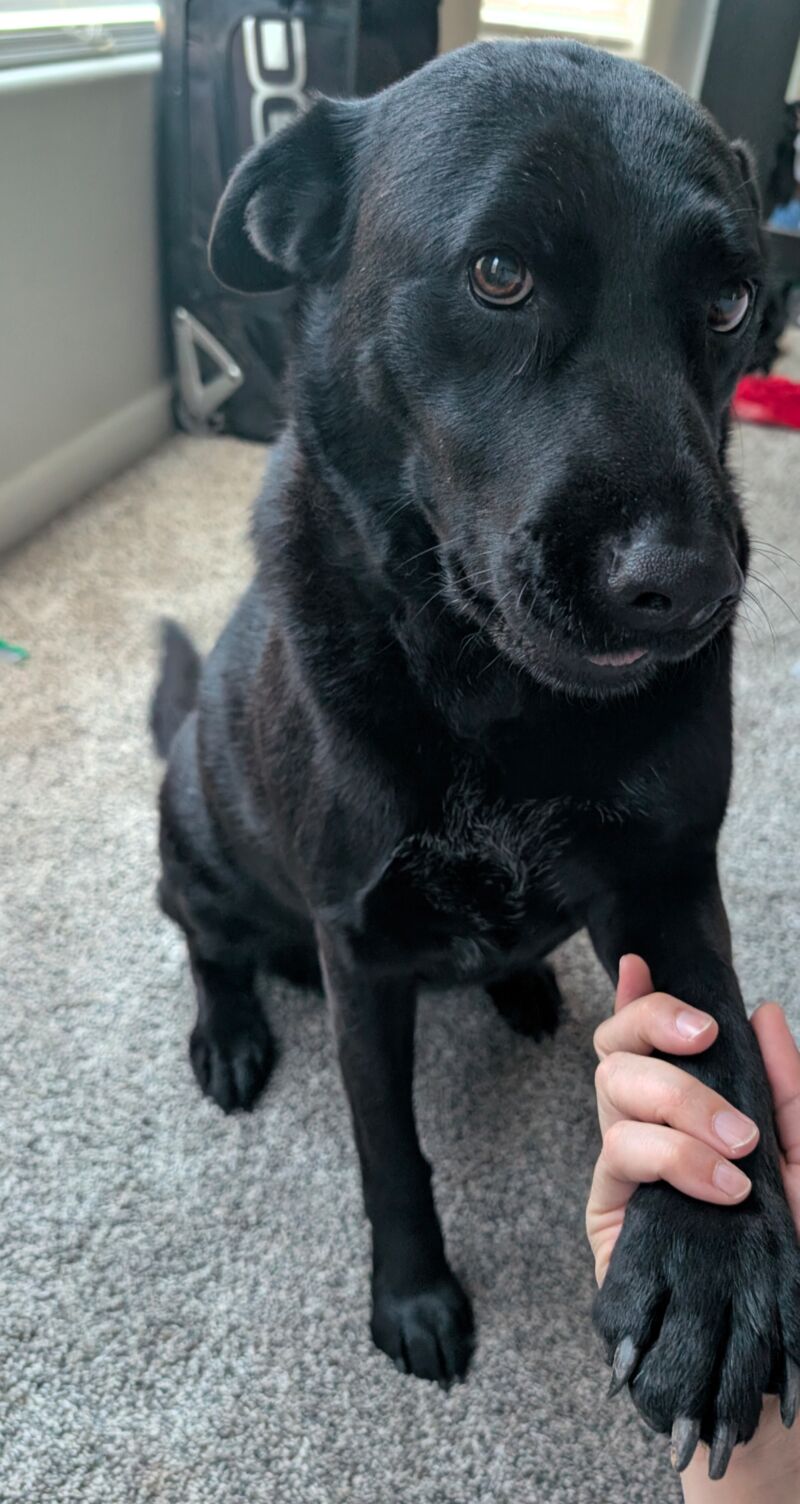 Someone just had a bath...