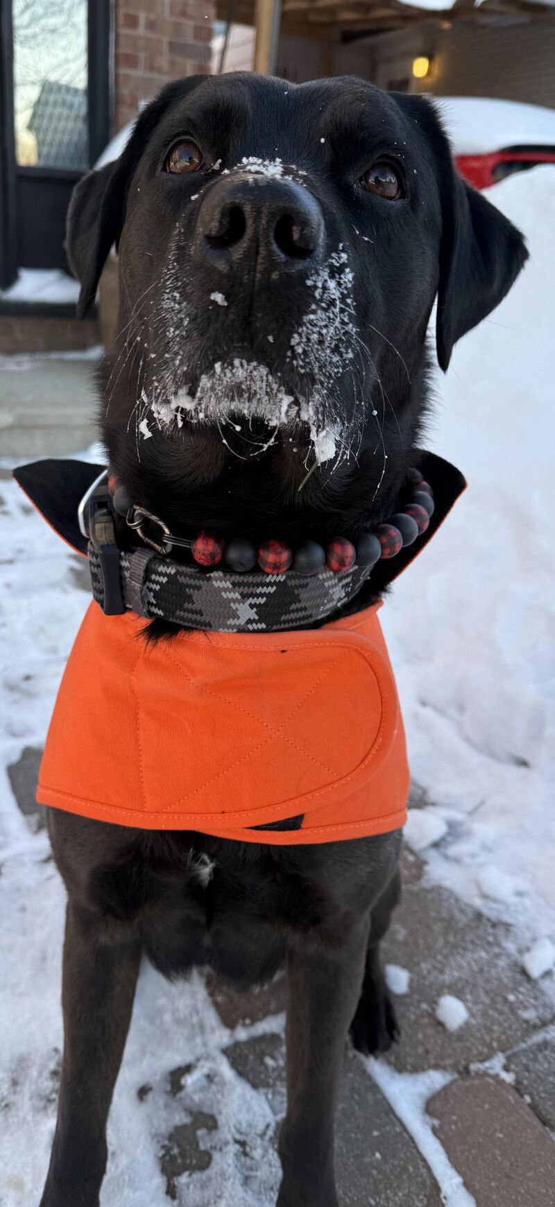 Stay warm my friends.