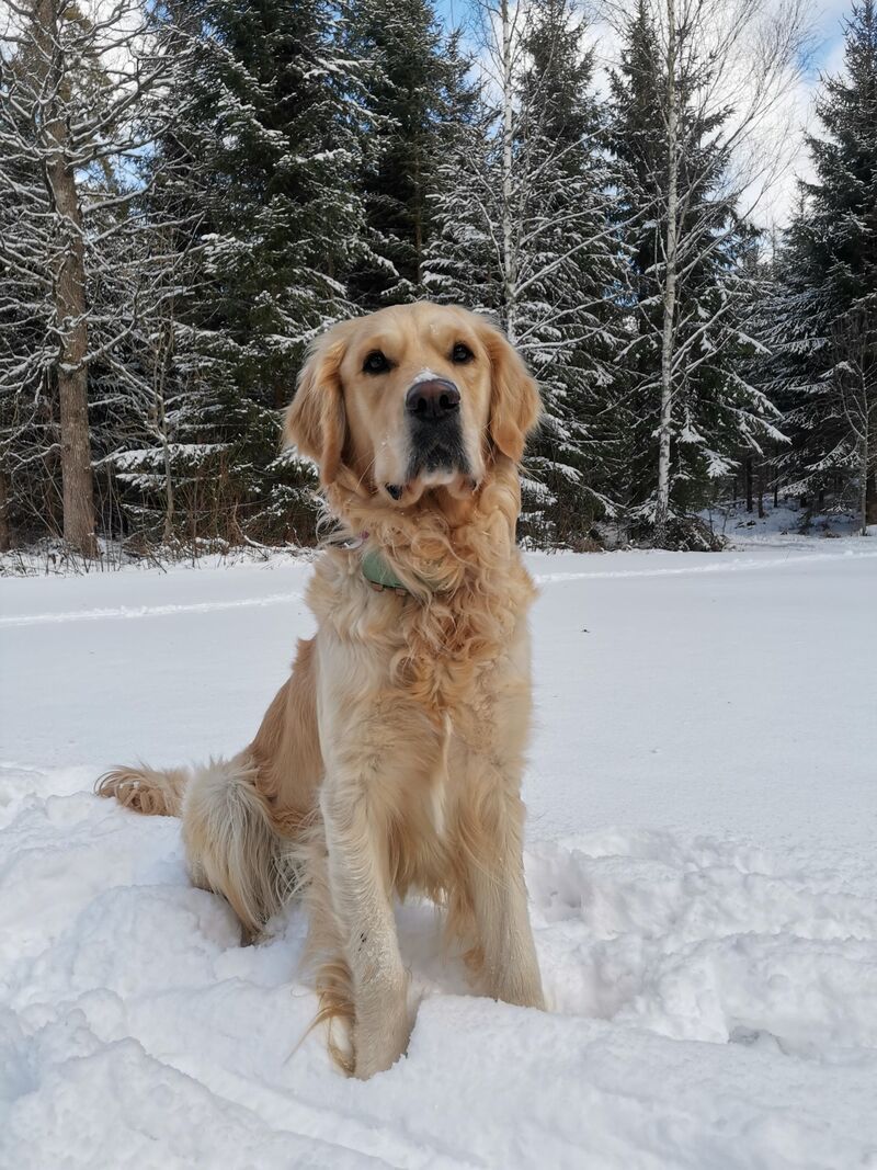 My daily dose of serotonin ❤️