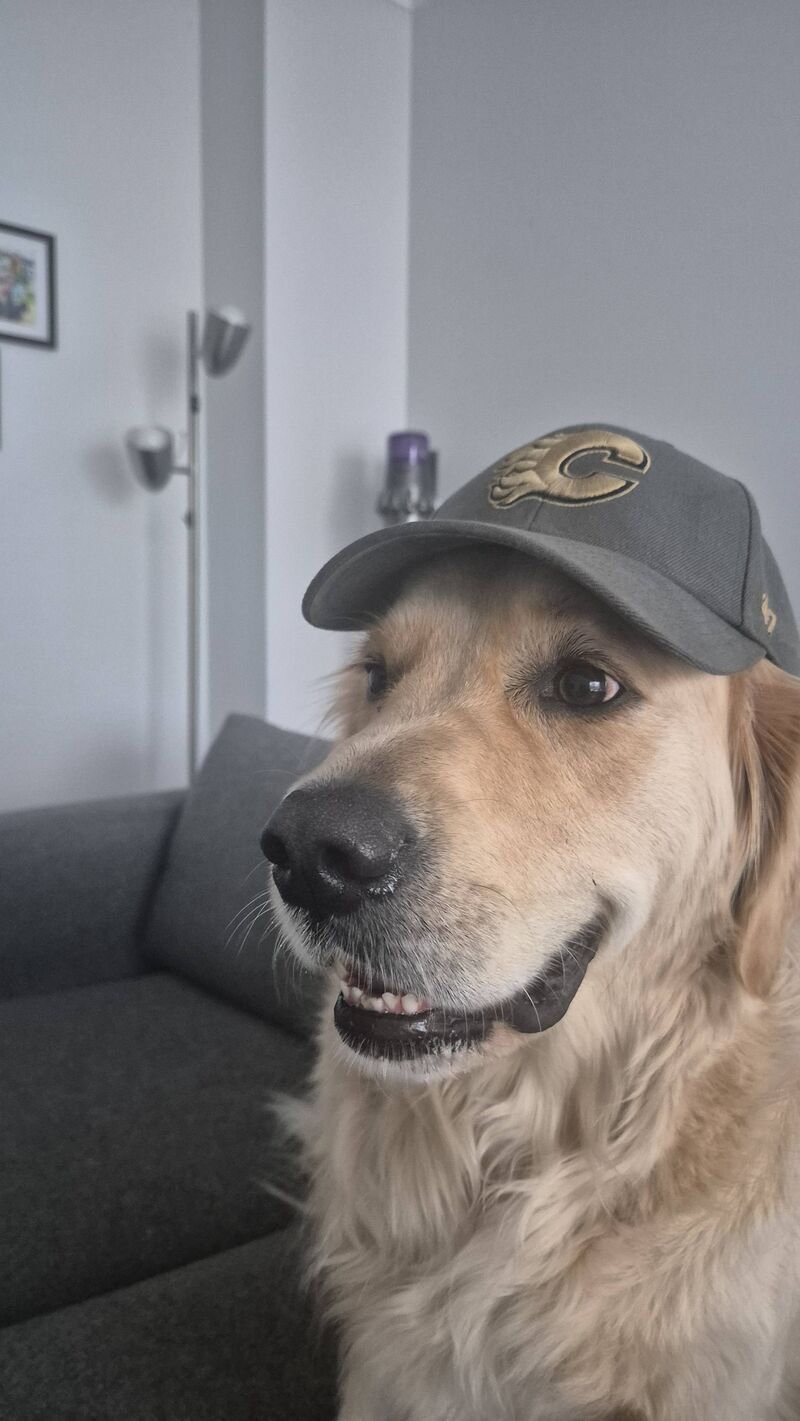 Kipper is just happy to be here