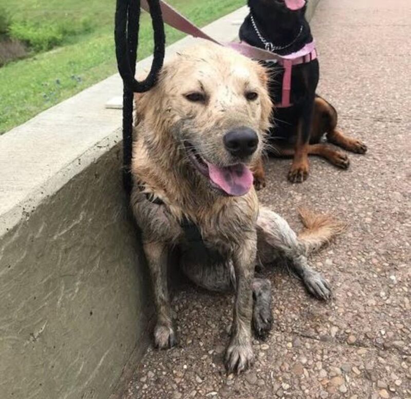 Hates pools but loves ponds…