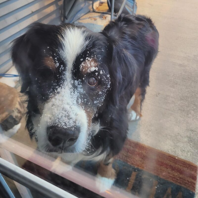 Someone's knocking at the door, Somebody's ringing the bell...