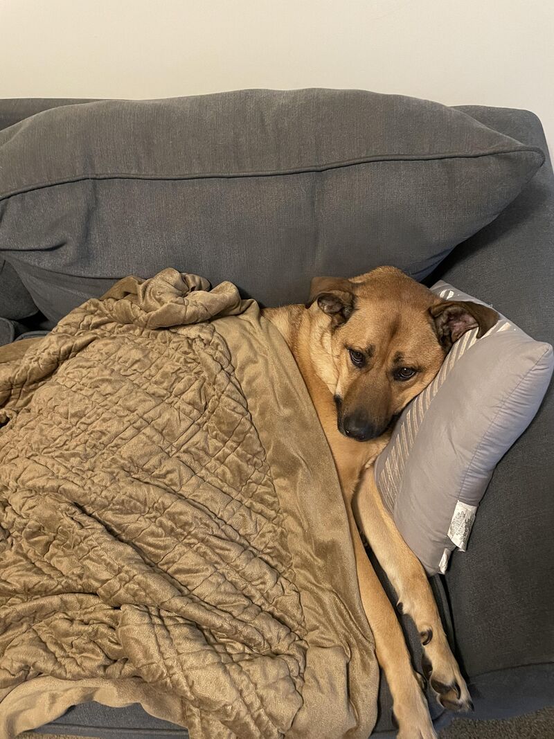 Penny wishes you a good night sleep tight