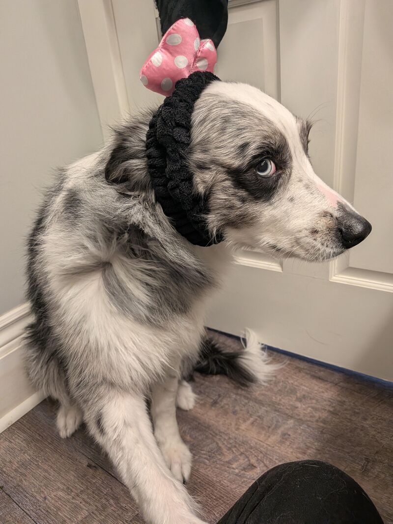 That side eye though lol she definitely gets that from me. It's uncanny lol