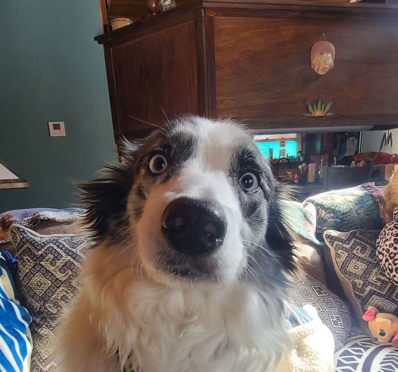 When are we going outside????