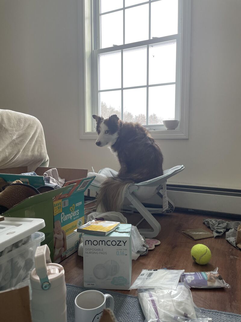 When your BC is the first born