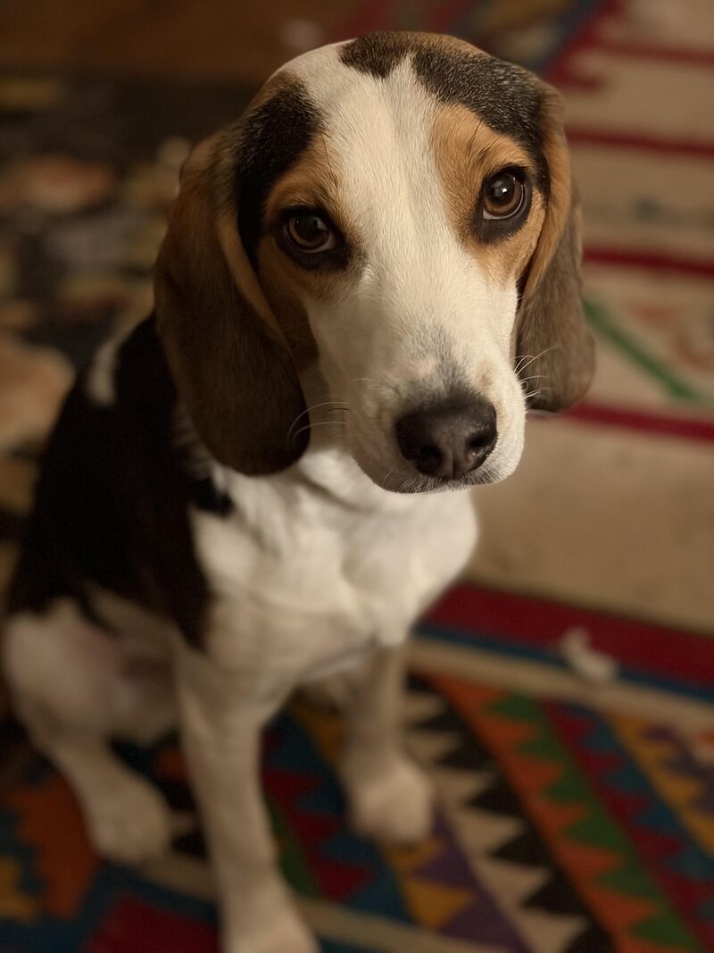 Her eyeliner budget is getting a little out of control….