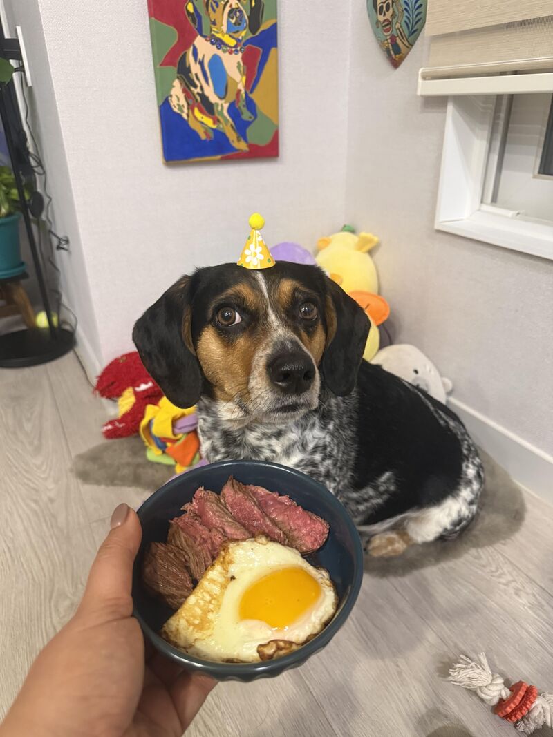 Happy 5th Birthday to Taki!