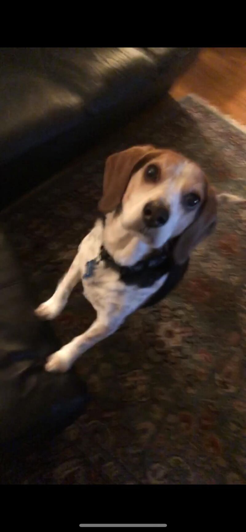 What do you think he was looking at?