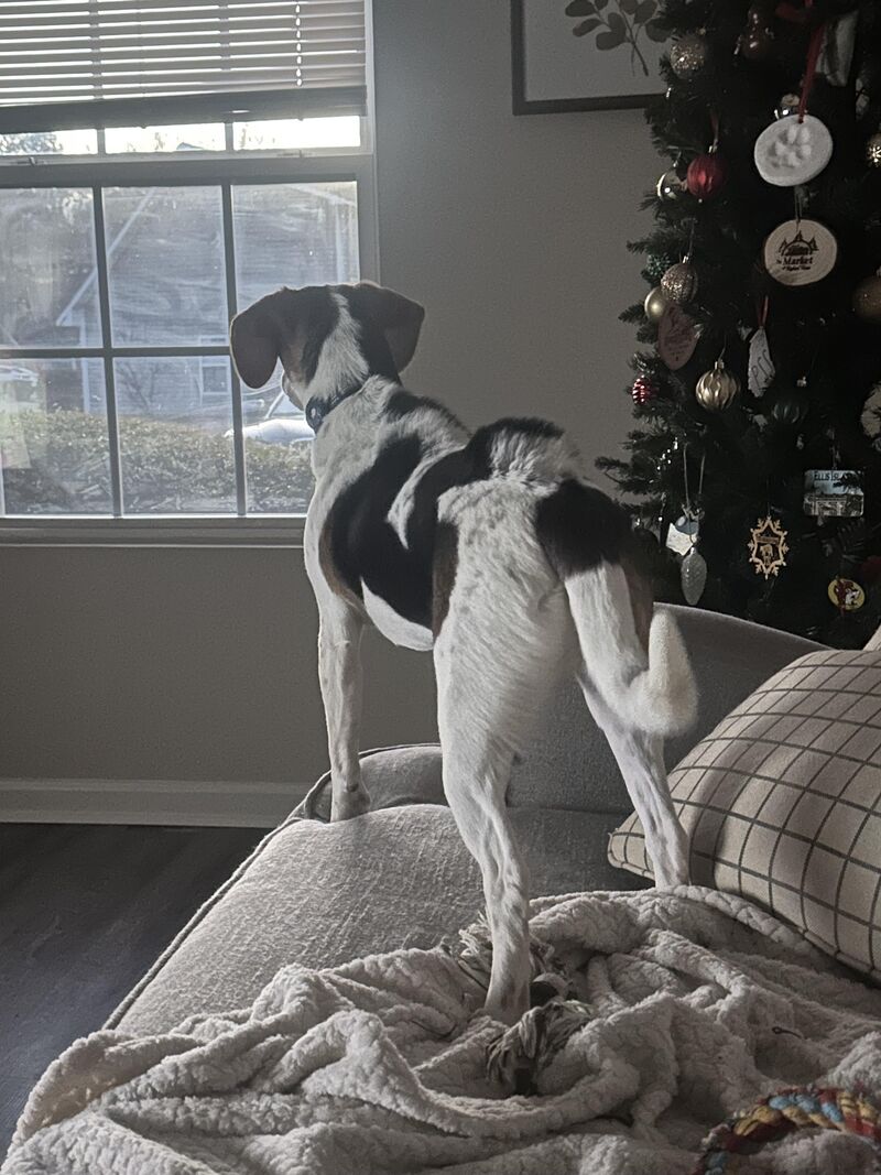 we are BIG MAD at the wind outside