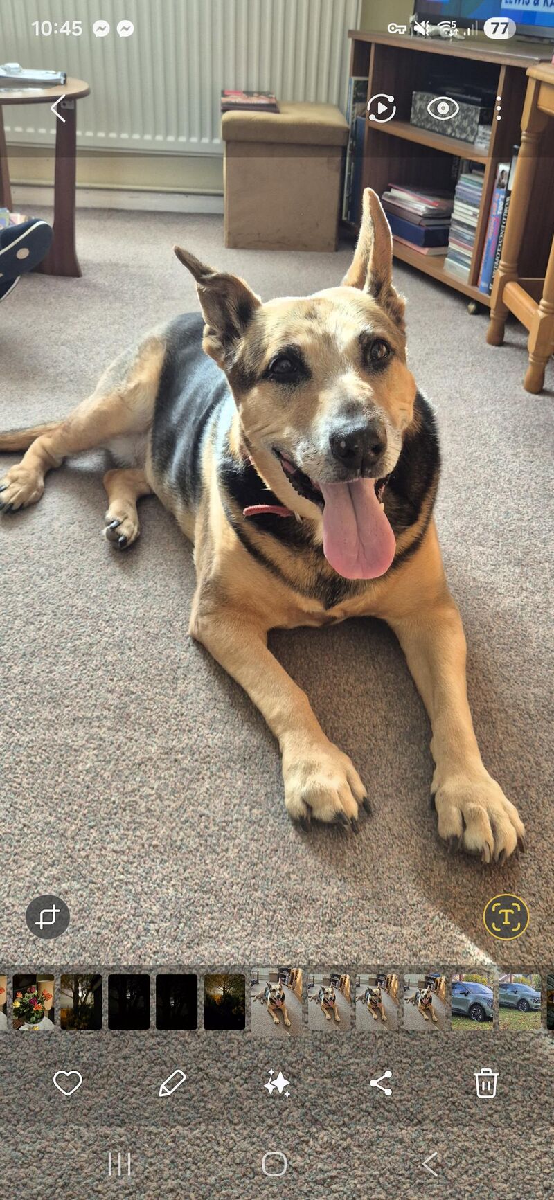 EB, 13 years of age.