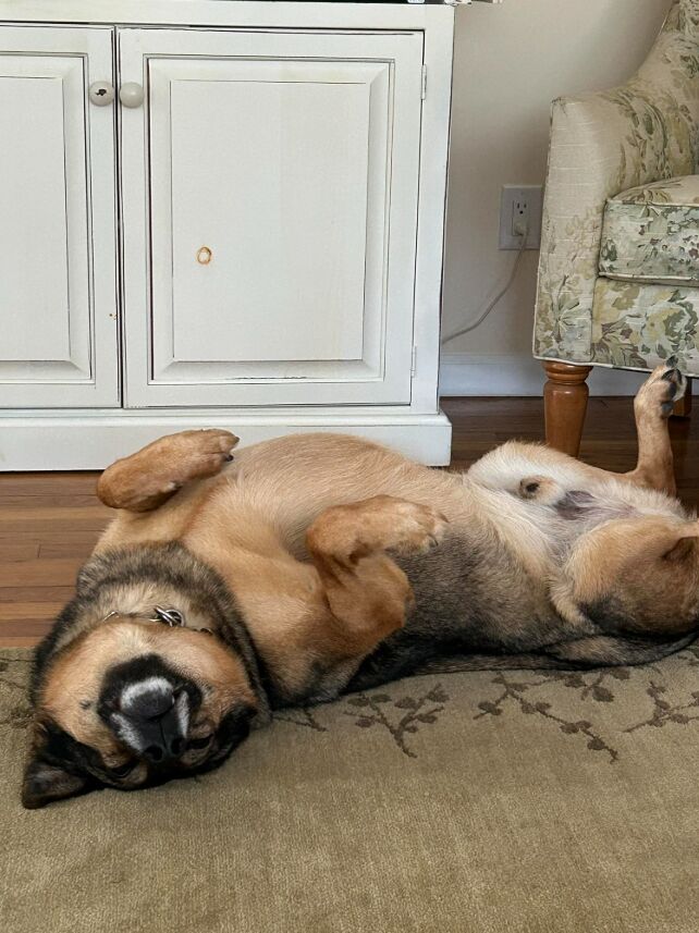 He sleeps like he pays rent lmao