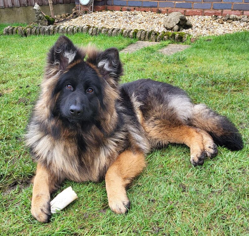 8 months old already