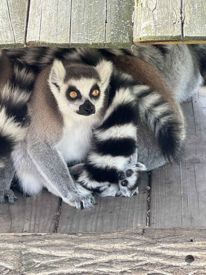 Mother and daughter 😍