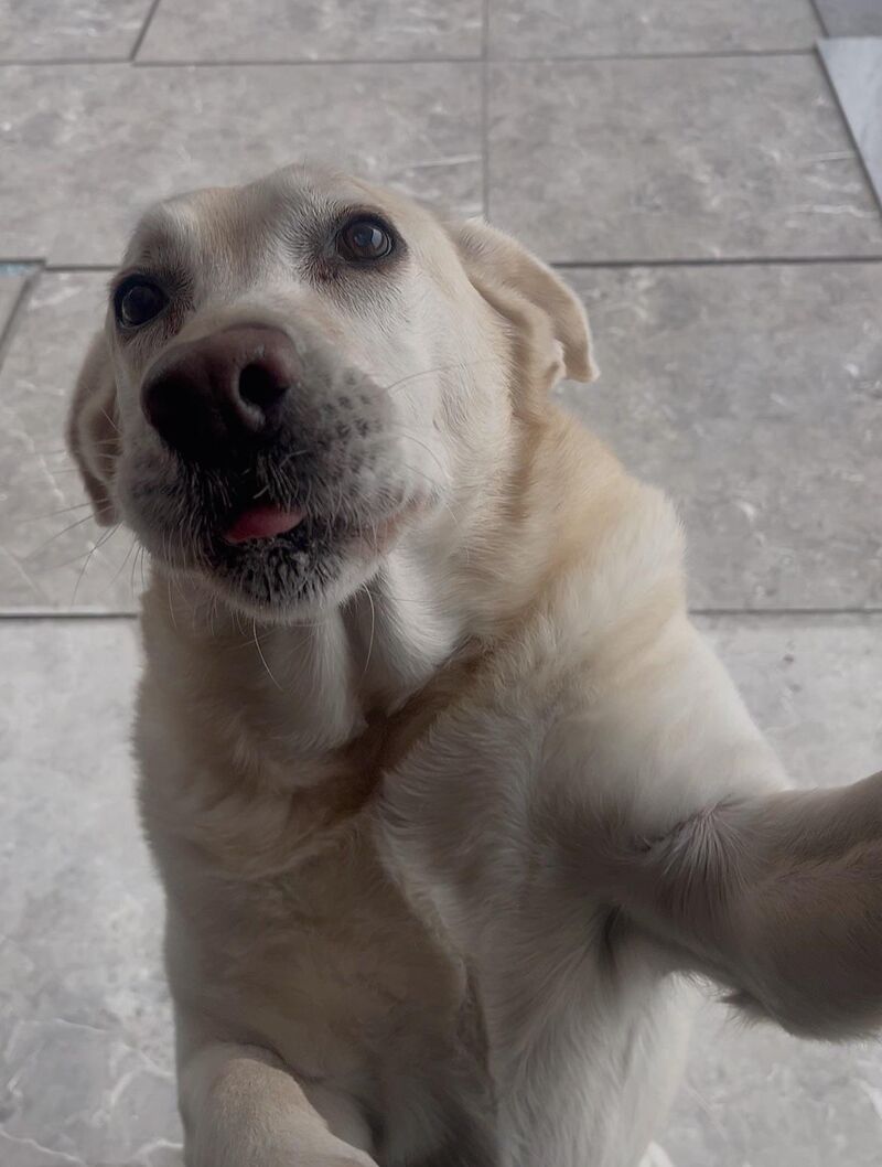 Hey, Here's my selfie～