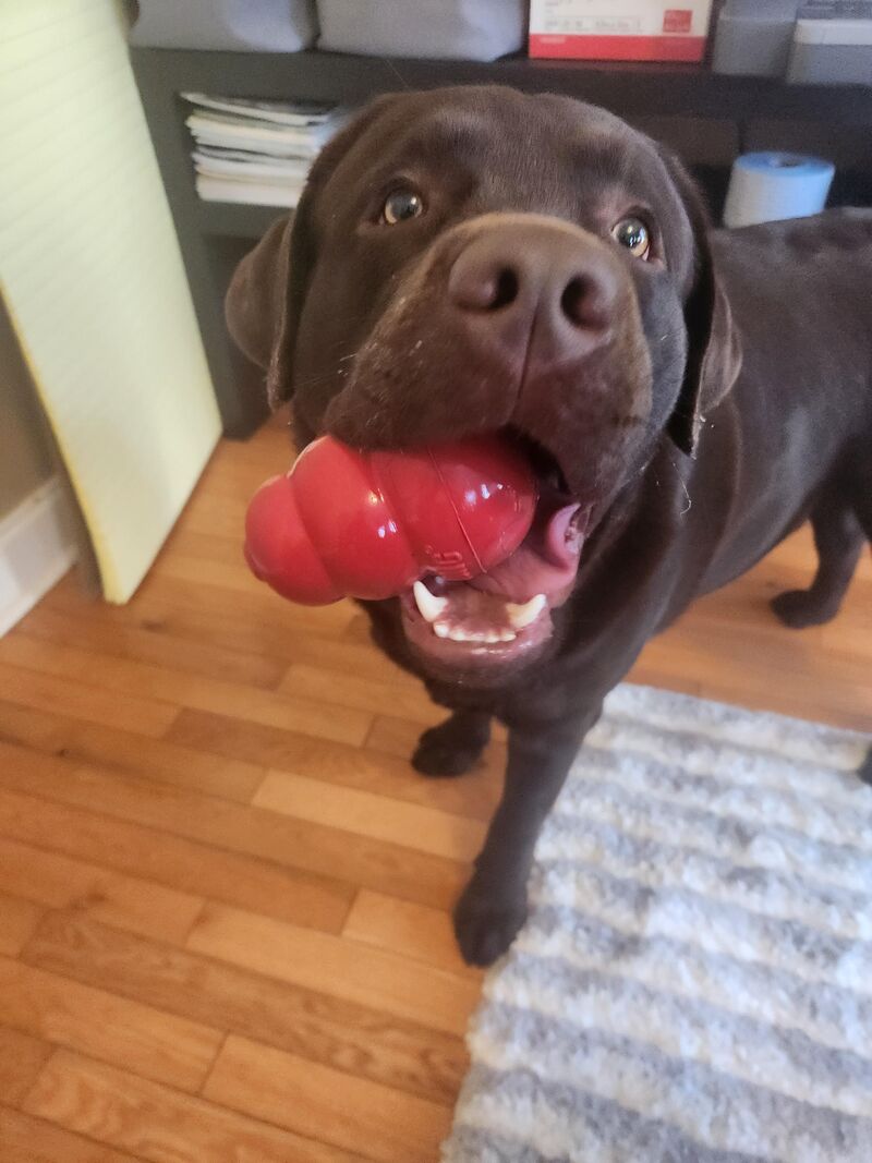 The only thing that my boys cant destroy