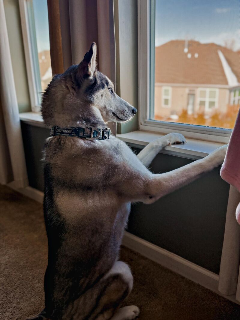 Mom can I go outside?