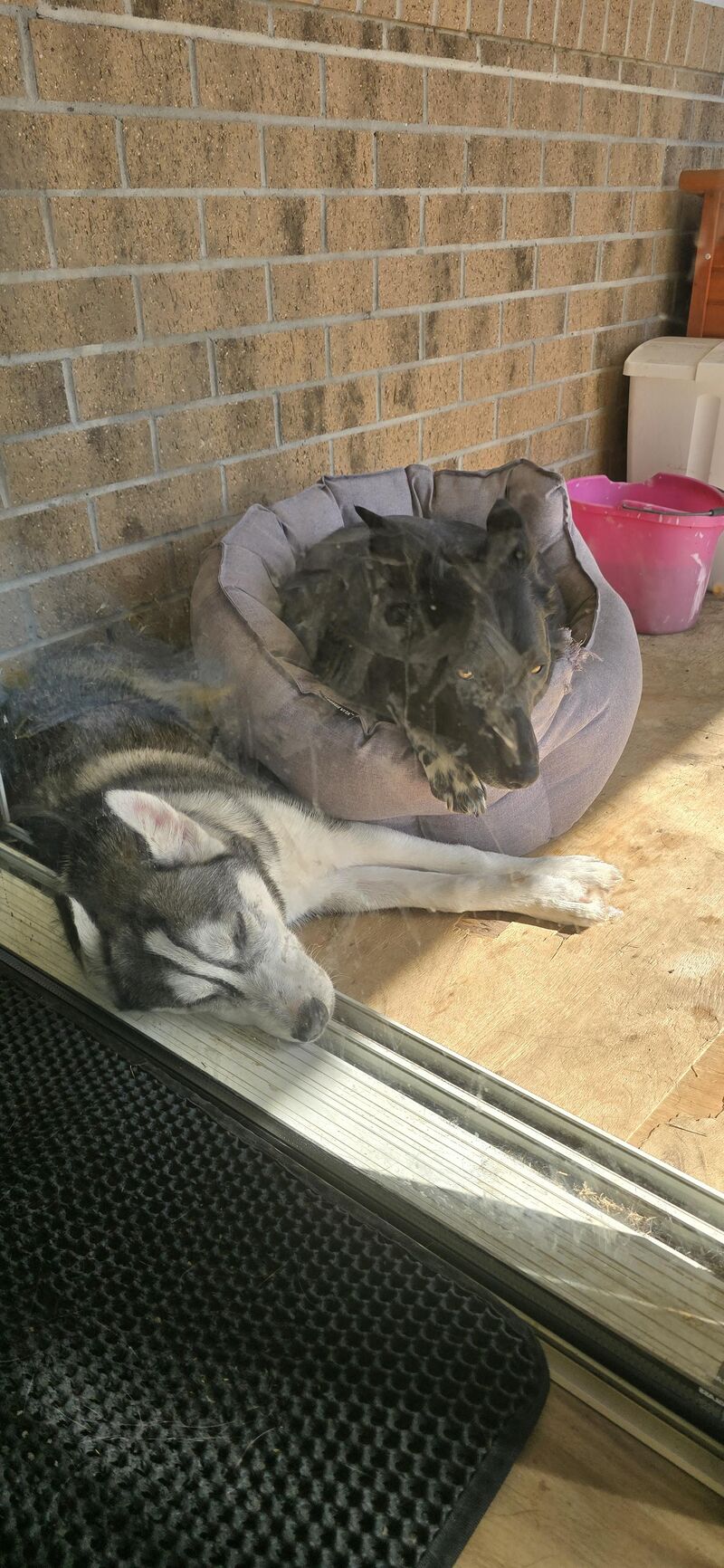 Finally we got a new one.