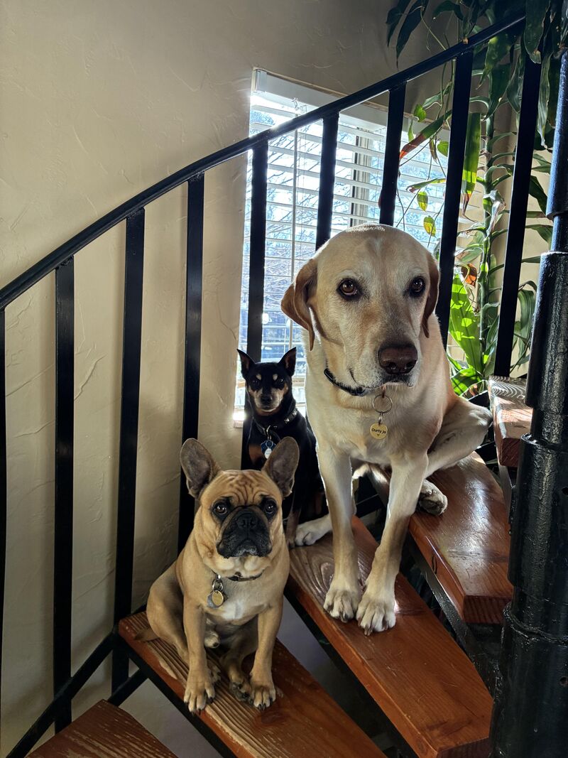 Any where I go anything I do they are watching!