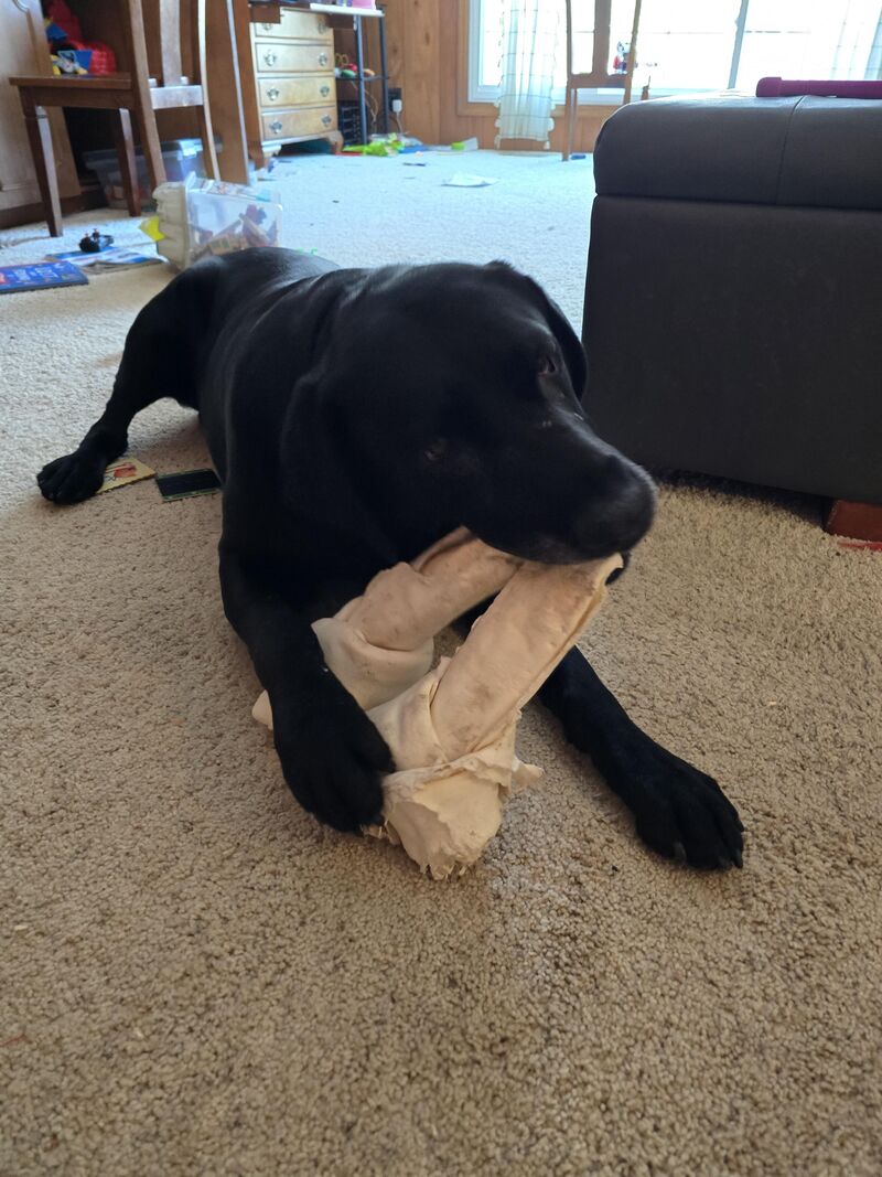 I've created a monster