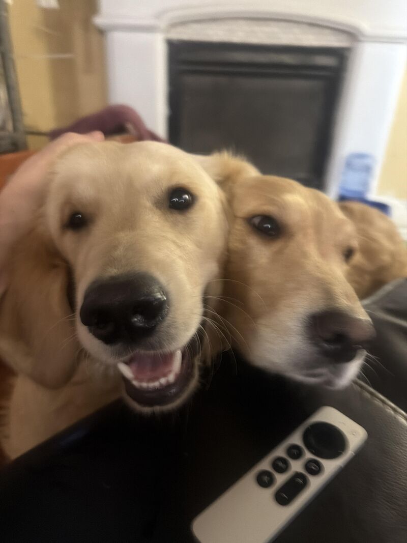 Reaction to Super Bowl