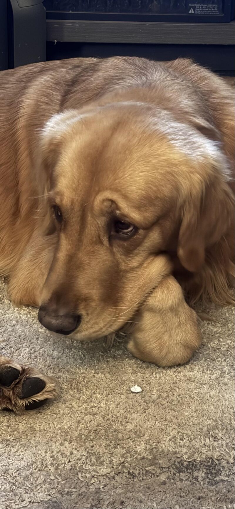 Carter is bored with this game