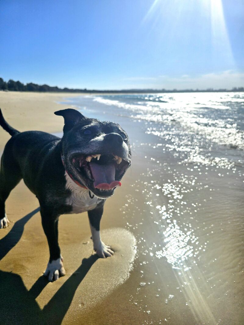 Happiest senior citizen on the beach