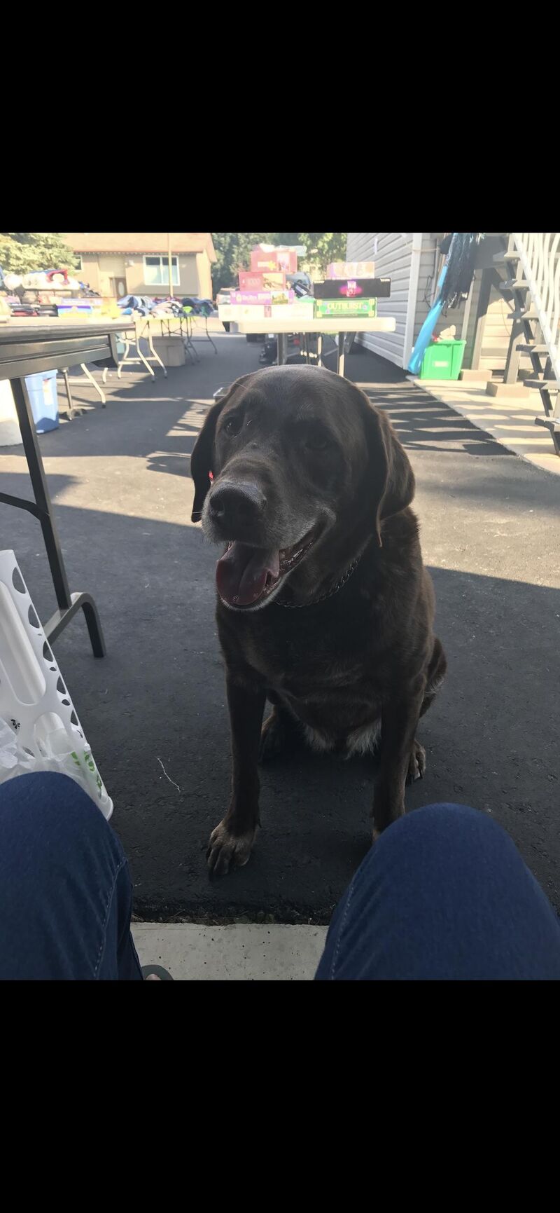 Best puppers. I remember him fondly.