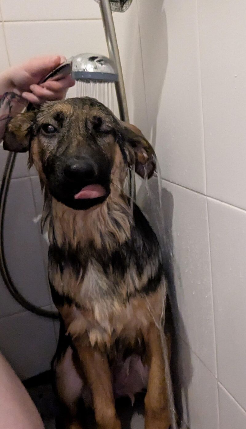 Send treats and towels. Stat. 🛁