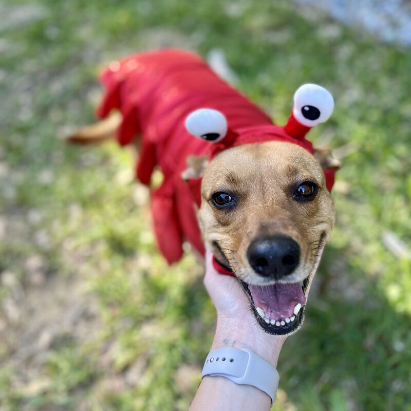 A rare breed 😂😍