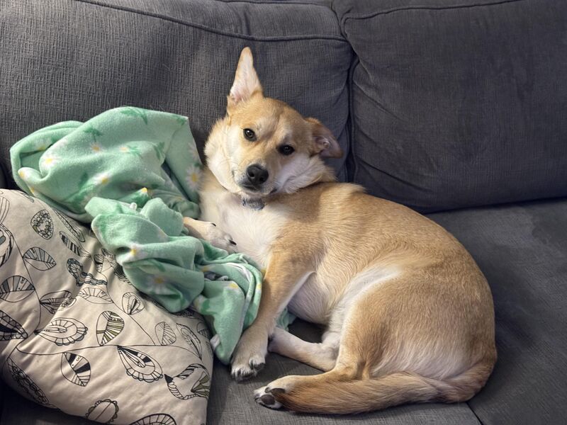 Noodles is still pretty “meh” about it all