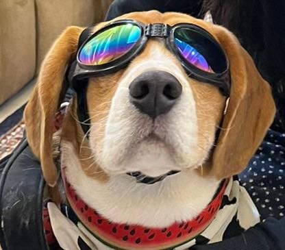 Looks who’s ready for this fall