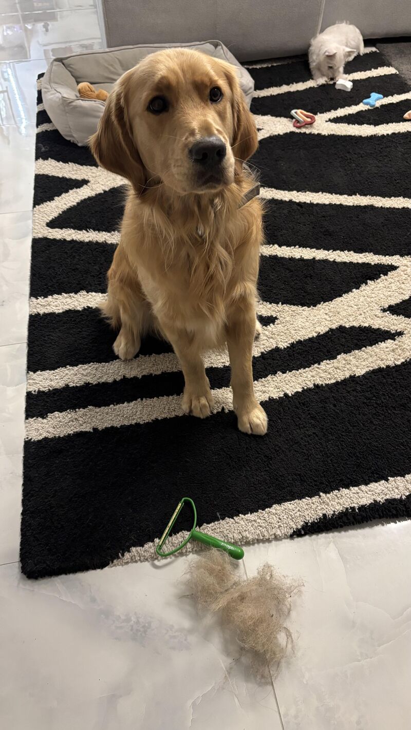 I dont know what you are talking about 😇